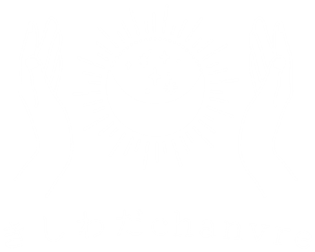 泉州地域でマッサージやカウンセリングなどの出張ヒーリングを利用するなら岸和田市の“きしわだchanvre（シャンブル）”がおすすめです。